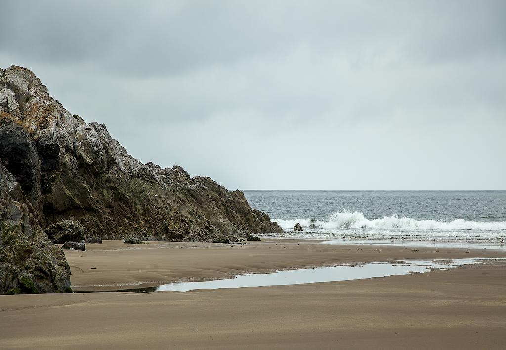 Somerfield Lodge Swansea Dış mekan fotoğraf